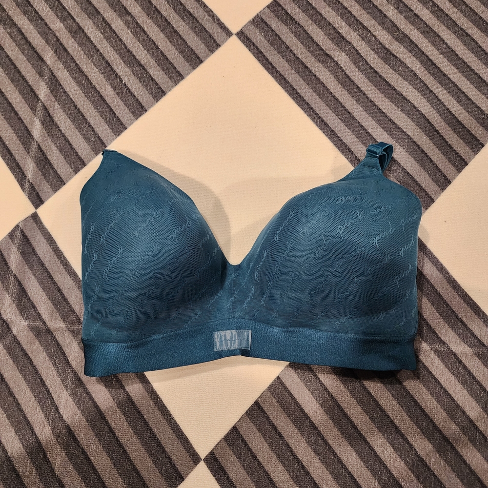 Victoria Secret's Pink Seamless Blue Bra